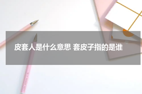 皮套人是什么意思 套皮子指的是谁