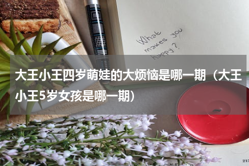 大王小王四岁萌娃的大烦恼是哪一期（大王小王5岁女孩是哪一期）