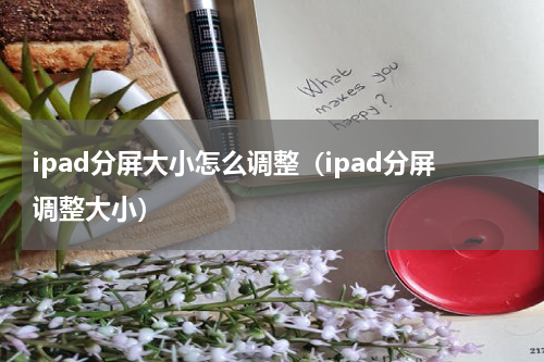 ipad分屏大小怎么调整（ipad分屏调整大小）