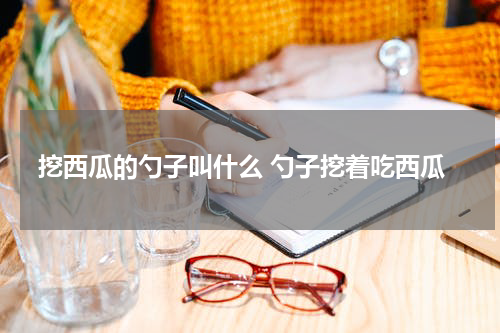 挖西瓜的勺子叫什么 勺子挖着吃西瓜