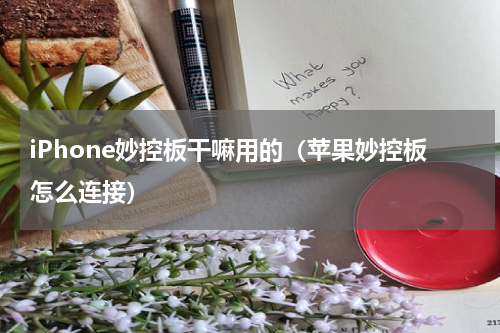 iPhone妙控板干嘛用的（苹果妙控板怎么连接）