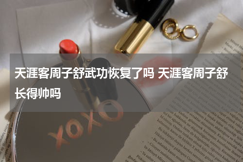 天涯客周子舒武功恢复了吗 天涯客周子舒长得帅吗