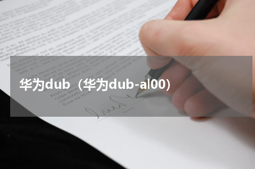 华为dub（华为dub-al00）