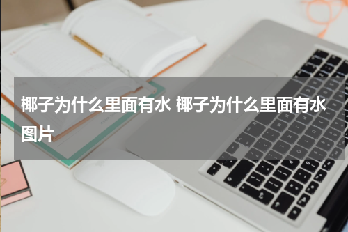 椰子为什么里面有水 椰子为什么里面有水图片
