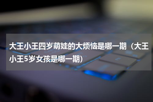 大王小王四岁萌娃的大烦恼是哪一期（大王小王5岁女孩是哪一期）
