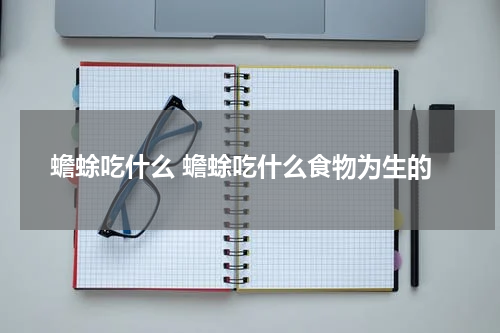 蟾蜍吃什么 蟾蜍吃什么食物为生的