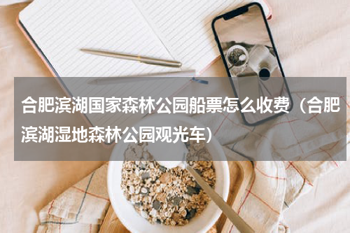 合肥滨湖国家森林公园船票怎么收费（合肥滨湖湿地森林公园观光车）