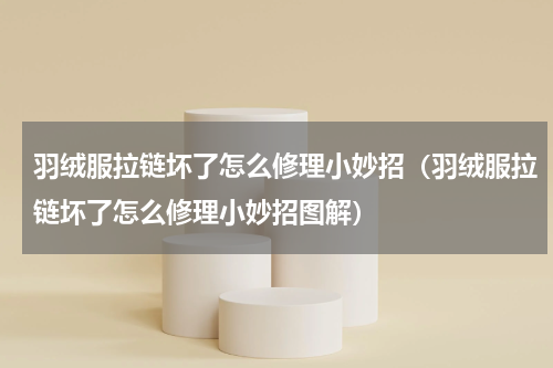 羽绒服拉链坏了怎么修理小妙招（羽绒服拉链坏了怎么修理小妙招图解）