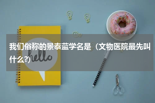 我们俗称的景泰蓝学名是（文物医院最先叫什么?）