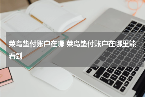 菜鸟垫付账户在哪 菜鸟垫付账户在哪里能看到