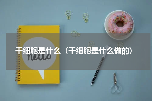 干细胞是什么（干细胞是什么做的）
