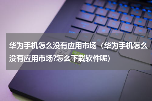 华为手机怎么没有应用市场（华为手机怎么没有应用市场?怎么下载软件呢）