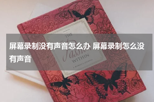 屏幕录制没有声音怎么办 屏幕录制怎么没有声音