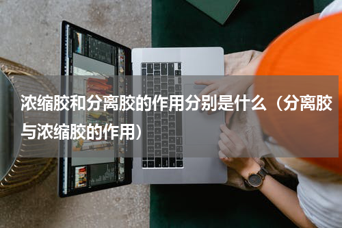 浓缩胶和分离胶的作用分别是什么（分离胶与浓缩胶的作用）