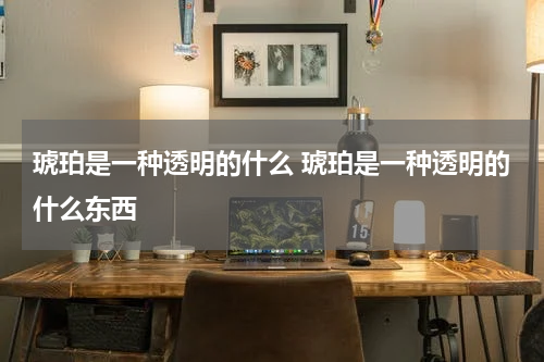 琥珀是一种透明的什么 琥珀是一种透明的什么东西