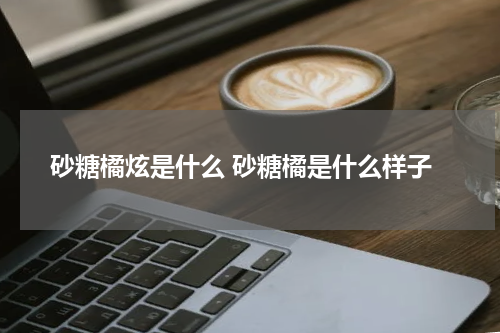 砂糖橘炫是什么 砂糖橘是什么样子