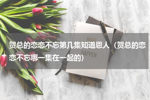 贺总的恋恋不忘第几集知道恩人（贺总的恋恋不忘哪一集在一起的）