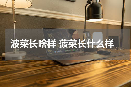 波菜长啥样 菠菜长什么样
