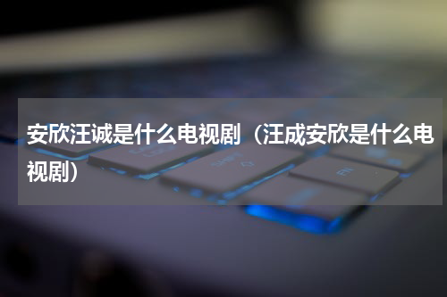 安欣汪诚是什么电视剧（汪成安欣是什么电视剧）