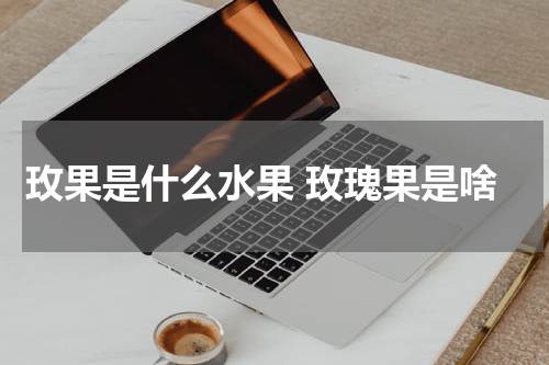 玫果是什么水果 玫瑰果是啥