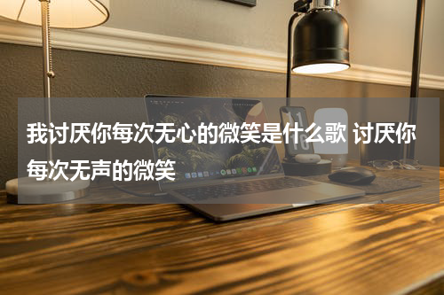 我讨厌你每次无心的微笑是什么歌 讨厌你每次无声的微笑