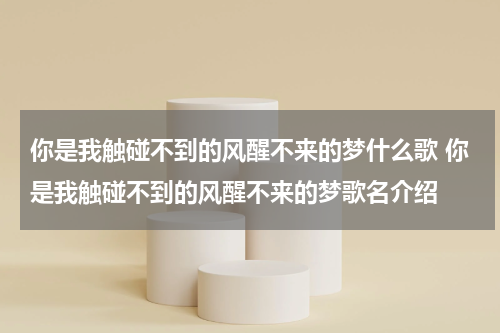 你是我触碰不到的风醒不来的梦什么歌 你是我触碰不到的风醒不来的梦歌名介绍
