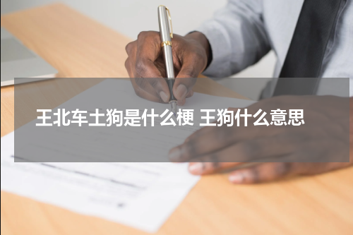王北车土狗是什么梗 王狗什么意思
