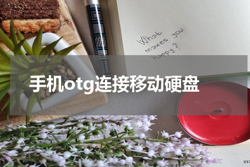 手机otg连接移动硬盘