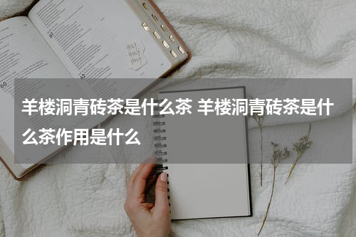 羊楼洞青砖茶是什么茶 羊楼洞青砖茶是什么茶作用是什么