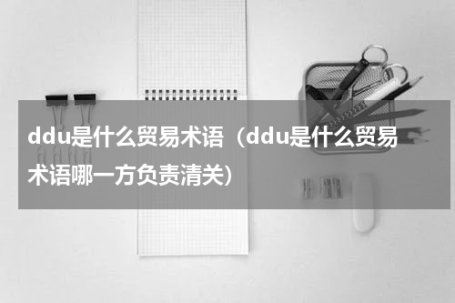 ddu是什么贸易术语（ddu是什么贸易术语哪一方负责清关）