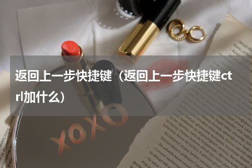 返回上一步快捷键（返回上一步快捷键ctrl加什么）
