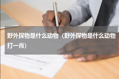 野外探物是什么动物（野外探物是什么动物打一肖）