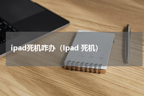 ipad死机咋办（Ipad 死机）