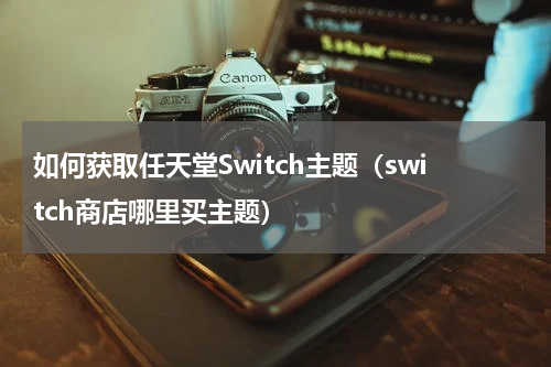 如何获取任天堂Switch主题（switch商店哪里买主题）