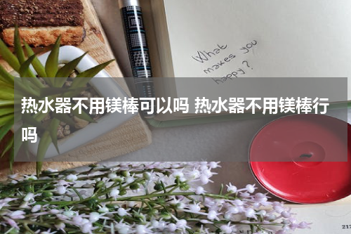热水器不用镁棒可以吗 热水器不用镁棒行吗