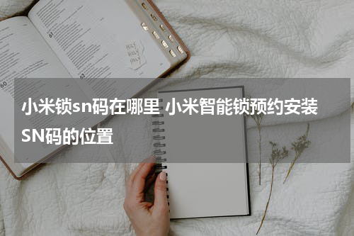 小米锁sn码在哪里 小米智能锁预约安装SN码的位置