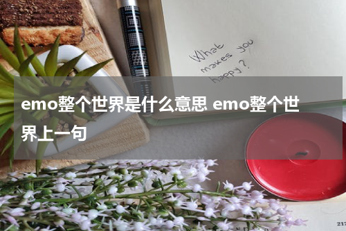 emo整个世界是什么意思 emo整个世界上一句