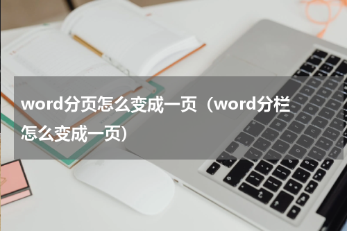 word分页怎么变成一页（word分栏怎么变成一页）