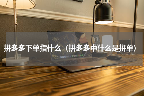 拼多多下单指什么（拼多多中什么是拼单）