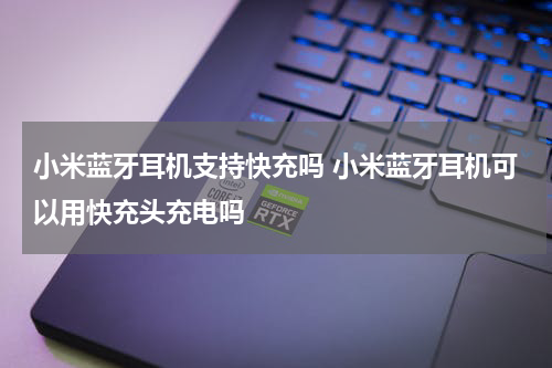 小米蓝牙耳机支持快充吗 小米蓝牙耳机可以用快充头充电吗