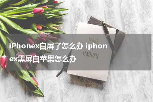 iPhonex白屏了怎么办 iphonex黑屏白苹果怎么办