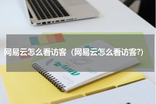 网易云怎么看访客（网易云怎么看访客?）
