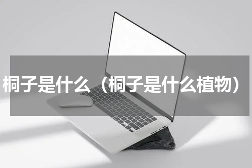 桐子是什么（桐子是什么植物）
