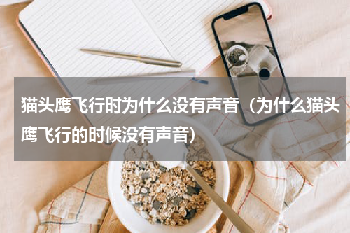 猫头鹰飞行时为什么没有声音（为什么猫头鹰飞行的时候没有声音）