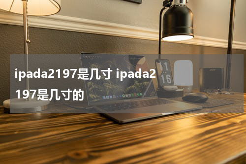 ipada2197是几寸 ipada2197是几寸的