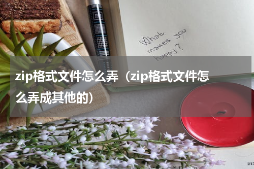 zip格式文件怎么弄（zip格式文件怎么弄成其他的）