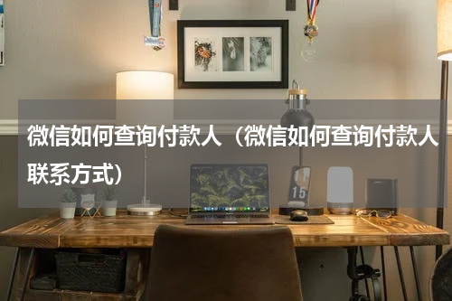 微信如何查询付款人（微信如何查询付款人联系方式）