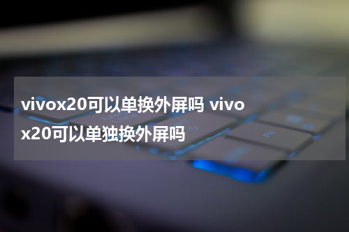 vivox20可以单换外屏吗 vivox20可以单独换外屏吗