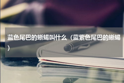 蓝色尾巴的蜥蜴叫什么（蓝紫色尾巴的蜥蜴）