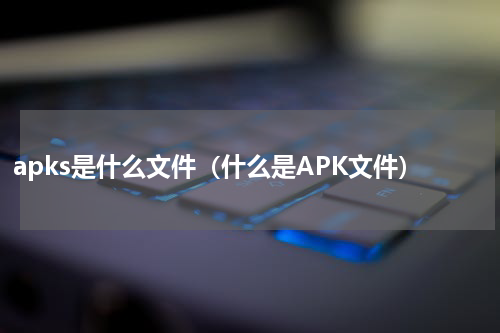 apks是什么文件（什么是APK文件）
